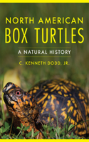 North American Box Turtles