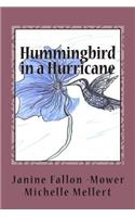 Hummingbird in a Hurricane