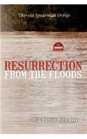 Resurrection from the Floods