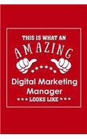 This is What an Amazing Digital Marketing Manager Look Like