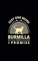 Just One More Burmilla I Promise