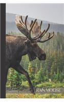 Rain Moose