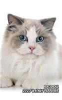 Ragdoll 2020 Weekly Planner