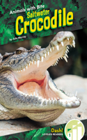 Saltwater Crocodile