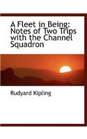 A Fleet in Being: Notes of Two Trips with the Channel Squadron(English)