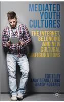 Mediated Youth Cultures