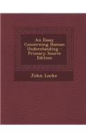 An Essay Concerning Human Understanding - Primary Source Edition