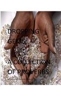 Dropping Gems a Collection of Proverbs Vol.1