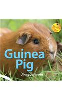 My New Pet: Guinea Pig: (My New Pet)