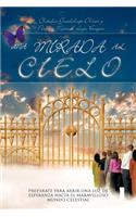 Mirada Al Cielo