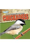 A Bird Watcher's Guide to Chickadees