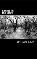 Seeing in the dark: The secrets to personal power, spiritual success and eternal victory(Take a Look)