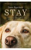 Stay: Lessons My Dogs Taught Me about Life, Loss, and Grace