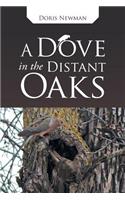 Dove in the Distant Oaks