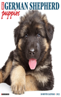 Just German Shepherd Puppies 2023 Wall Calendar