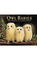 Owl Babies