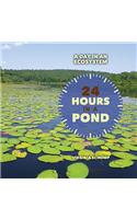 24 Hours in a Pond