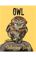 Owl Coloring Book: Adult Coloring Book With Owls Illustrations for Stress Relief and Relaxation