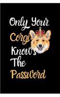 Only Your Corgi Knows The Password: Combined Handy Address & Password Book & Internet Logbook in Alphabetical order. Useful Size For Office, Purses & Handbags & a Gift/Present With a D