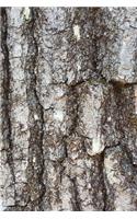 2020 Daily Planner Oak Tree Bark Photo 388 Pages: 2020 Planners Calendars Organizers Datebooks Appointment Books Agendas