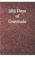 365 Days of Gratitude