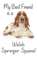 My best Friend is a Welsh Springer Spaniel: 8" x 5" Blank lined Journal Notebook 120 College Ruled Pages