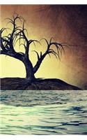 Island Notebook