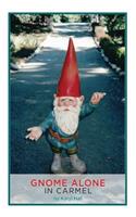 Gnome Alone in Carmel