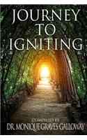 Journey to Igniting