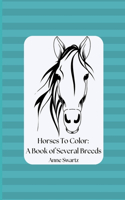 Horses To Color