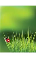 Ladybug Grass Sketchbook
