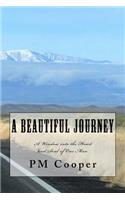 A Beautiful Journey