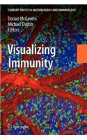 Visualizing Immunity