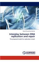 Interplay between DNA replication and repair