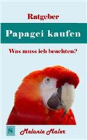 Ratgeber Papagei Kaufen: Was Ist Zu Beachten?