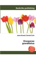 Oreopanax Grandifolius: (English)