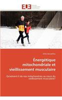 Énergétique mitochondriale et vieillissement musculaire