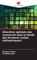 Allocation optimale des ressources dans la bande des térahertz (ondes millimétriques)