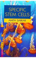 Specific Stem Cells