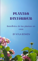 Plantes d'Intérieur