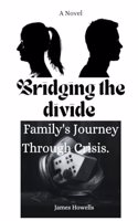 Bridging the divide: A Novel: a family's journey through crisis