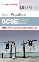 Exam Practice â€“ GCSE Business Studies (Exam Practice S.)