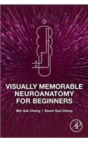 Visually Memorable Neuroanatomy for Beginners