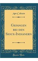 Gefangen Bei Den Sioux-Indianern (Classic Reprint)