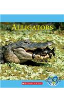 Alligators: (Nature's Children (Children's Press Paperback))
