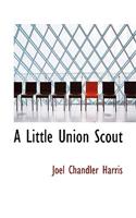 A Little Union Scout