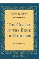 The Gospel in the Book of Numbers (Classic Reprint)