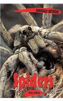 Spiders