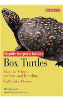 Box Turtles