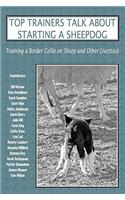 Top Trainers Talk About Starting a Sheepdog